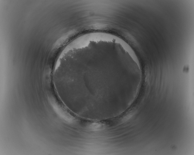 X0000113850542200910151214