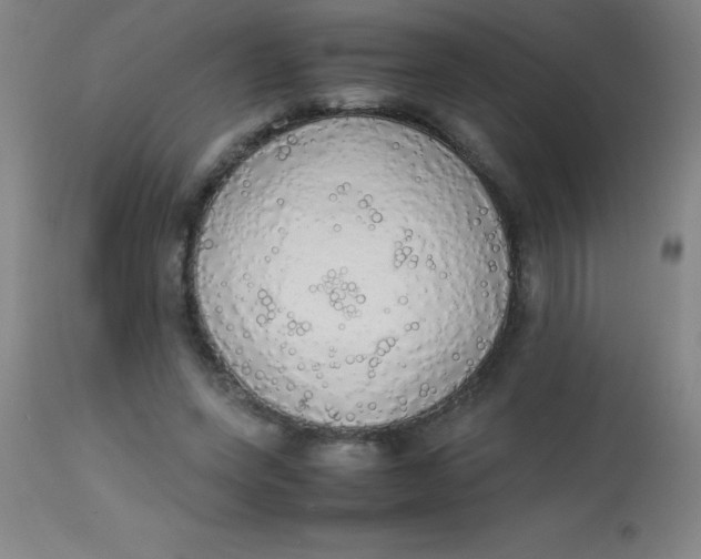 X0000113850543200910151214