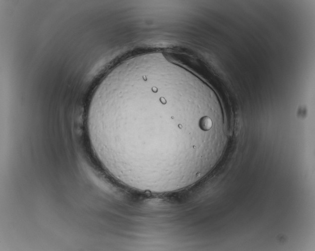 X0000113850544200910151214