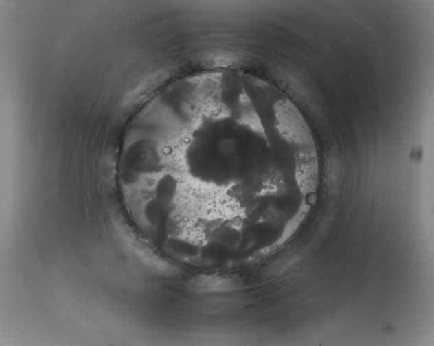 X0000113850545200910151214