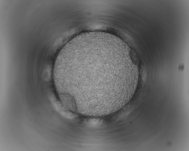 X0000113850546200910151214