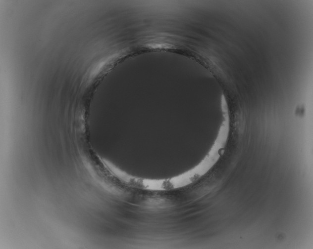 X0000113850547200910151215