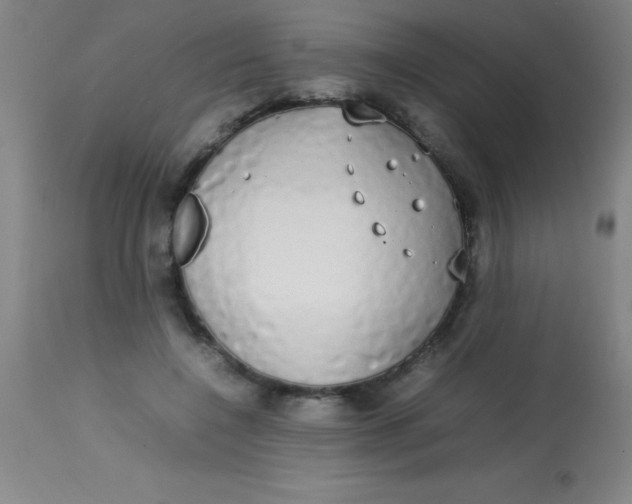 X0000113850548200910151215