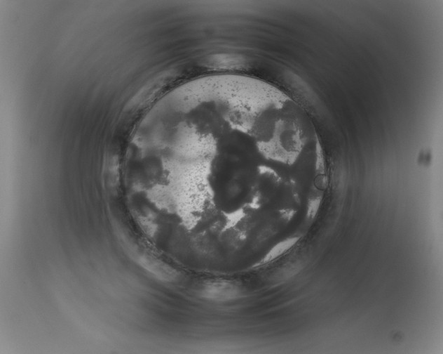 X0000113850549200910151215