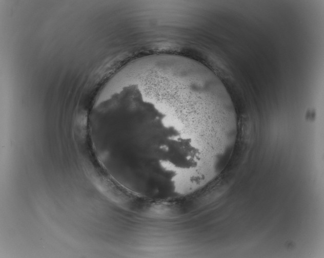 X0000113850550200910151215