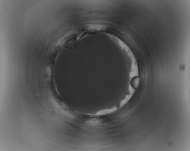 X0000113850551200910151215