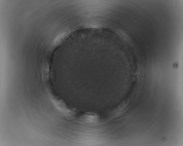 X0000113850552200910151215