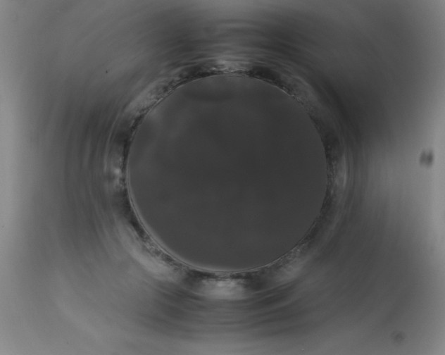 X0000113850553200910151215