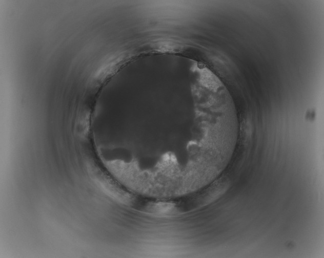 X0000113850554200910151215