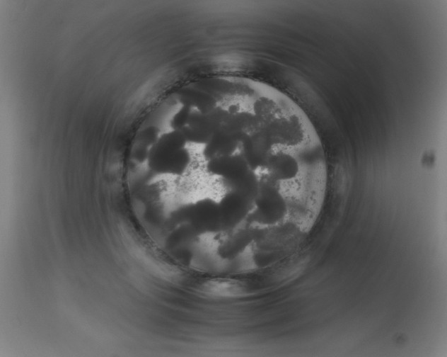 X0000113850557200910151215