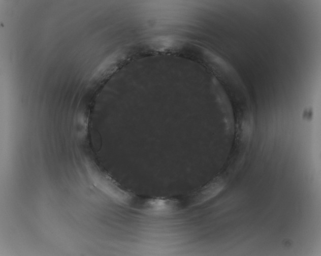 X0000113850558200910151215