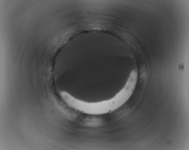 X0000113850559200910151215