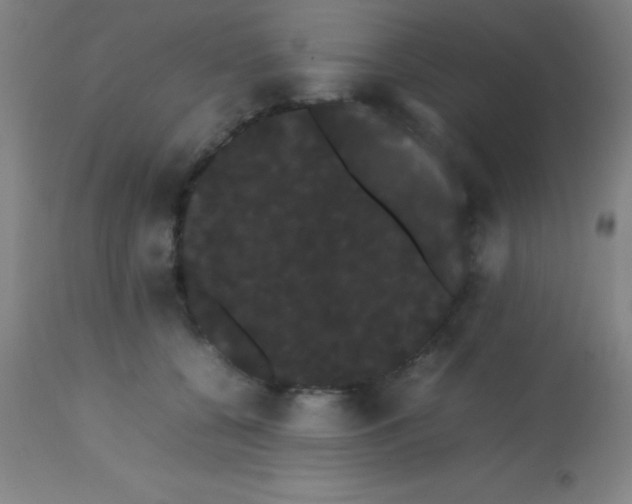 X0000113850560200910151215