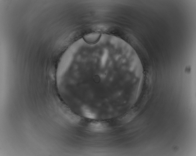 X0000113850561200910151215