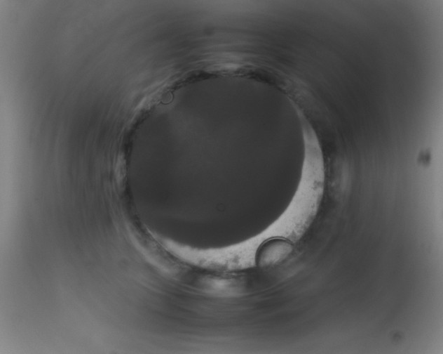 X0000113850563200910151215