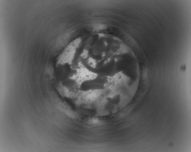 X0000113850565200910151215