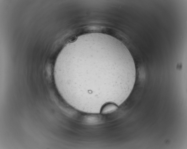 X0000113850567200910151215