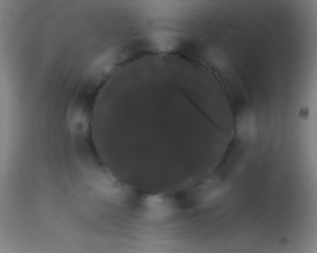 X0000113850568200910151215