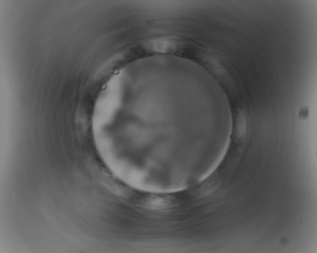 X0000113850569200910151215