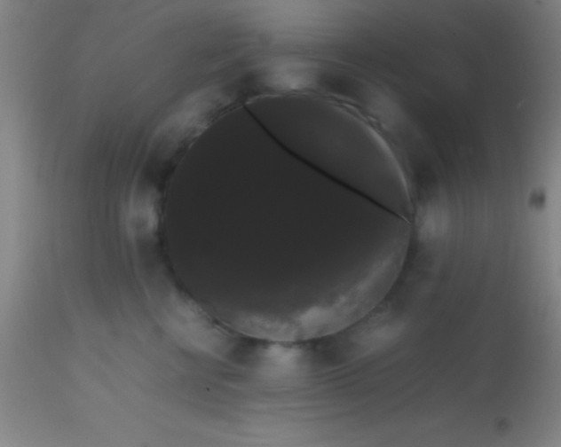 X0000113850570200910151215