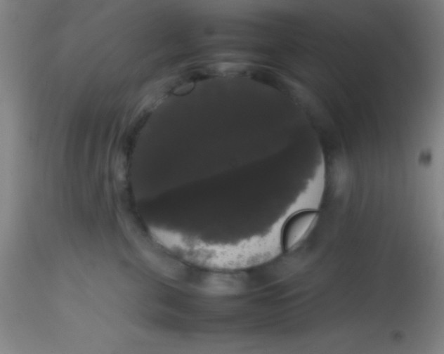 X0000113850571200910151215