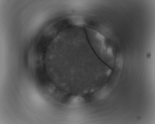 X0000113850572200910151215