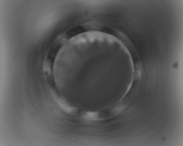 X0000113850573200910151215