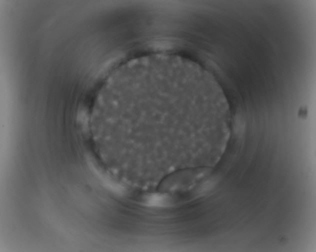 X0000113850575200910151215