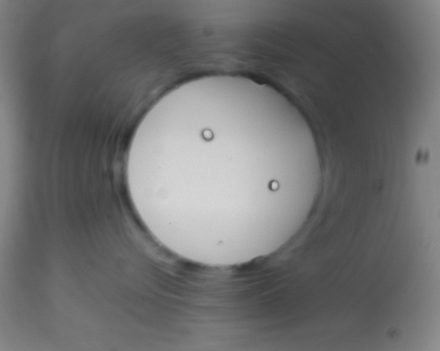 X0000113850576200910151215