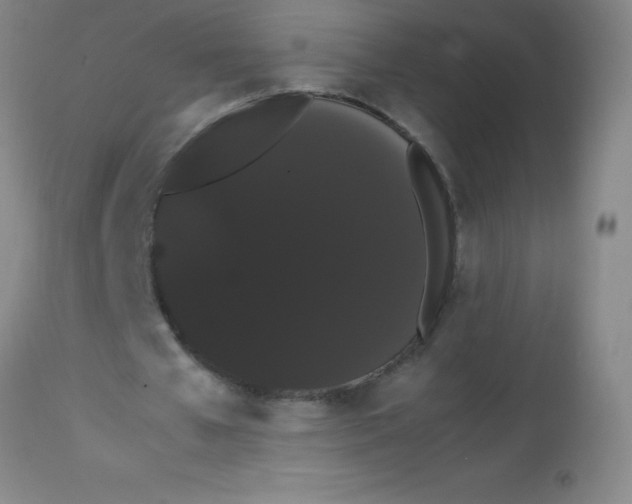 X0000113850577200910151214