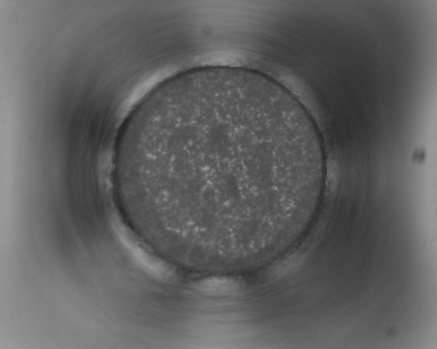 X0000113850578200910151214