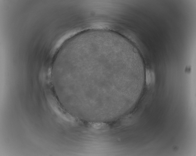 X0000113850579200910151214