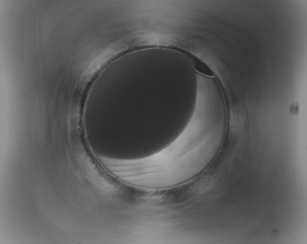 X0000113850581200910151214