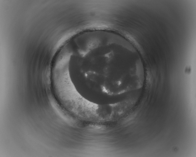 X0000113850582200910151214