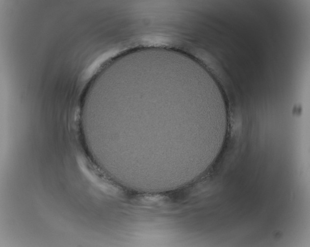 X0000113850583200910151214