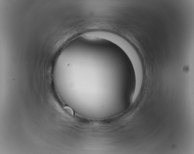 X0000113850585200910151214