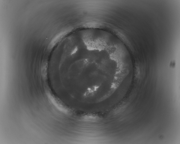 X0000113850586200910151214