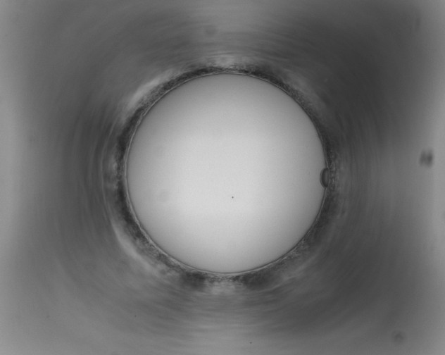 X0000113850587200910151214