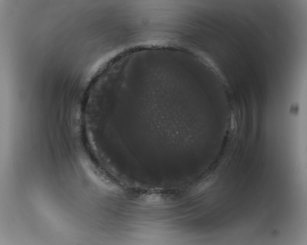 X0000113850588200910151214