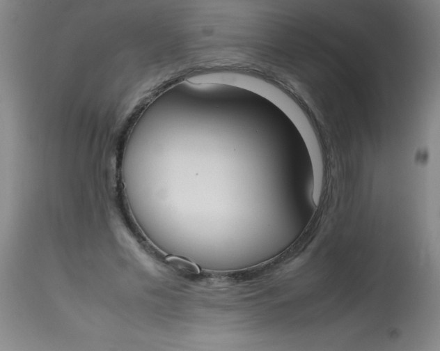 X0000113850589200910151214