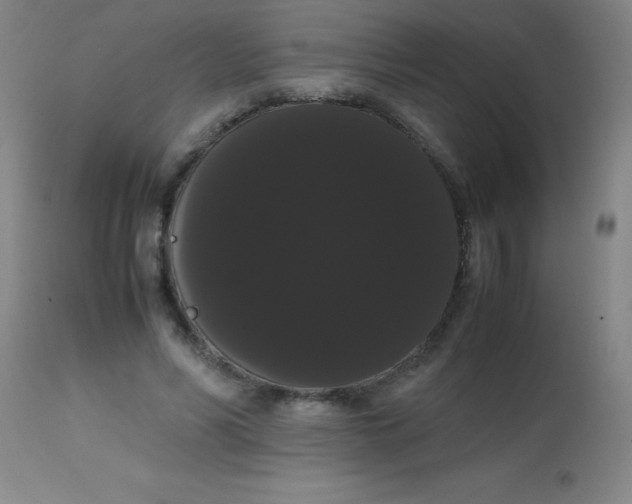 X0000113850590200910151214