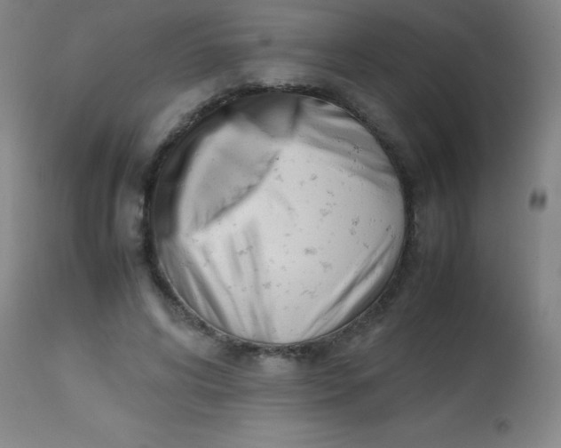 X0000113850592200910151214