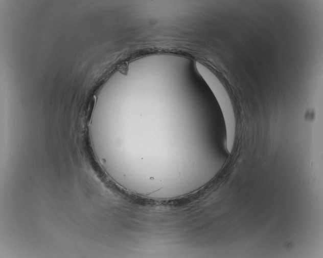 X0000113850593200910151214