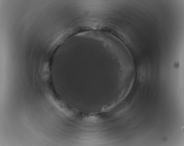 X0000113850594200910151214