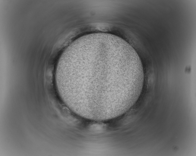 X0000113850595200910151214