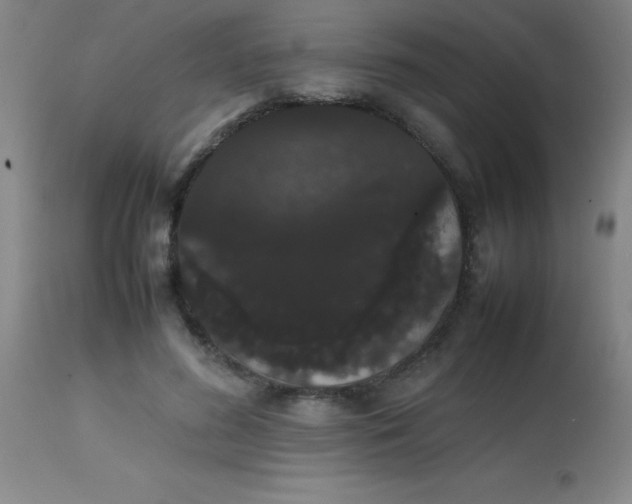 X0000113850596200910151214