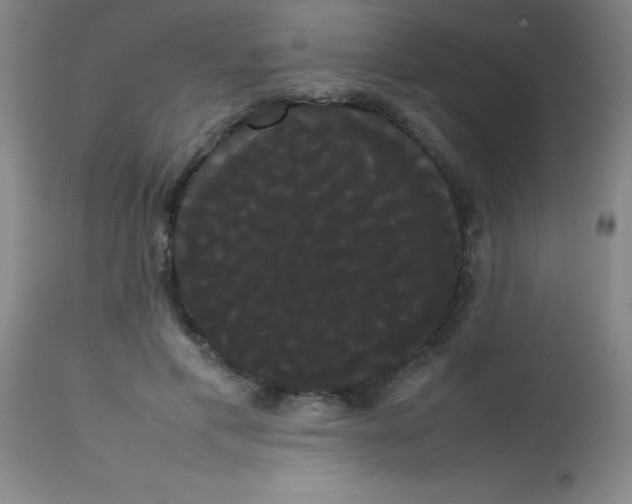 X0000113850597200910151214