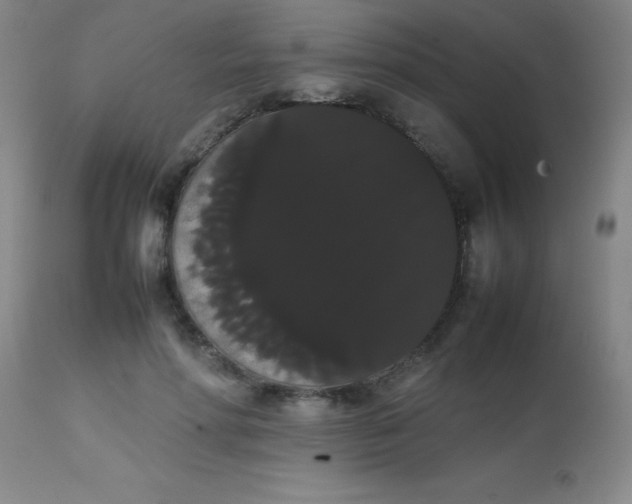 X0000113850598200910151214