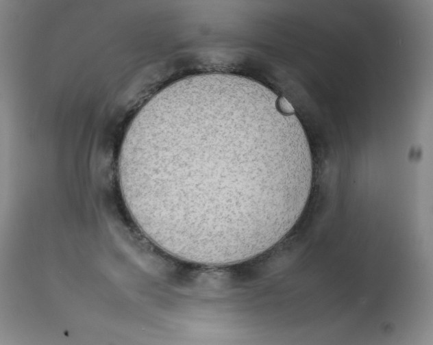 X0000113850599200910151214