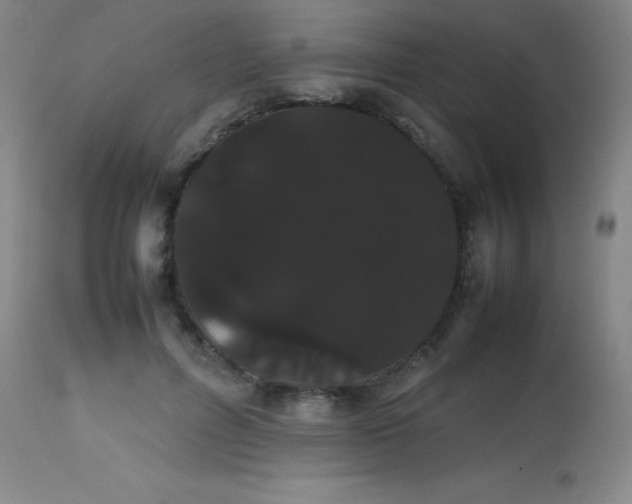 X0000113850600200910151214